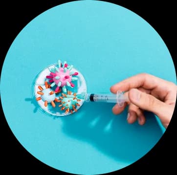 Circular overlay